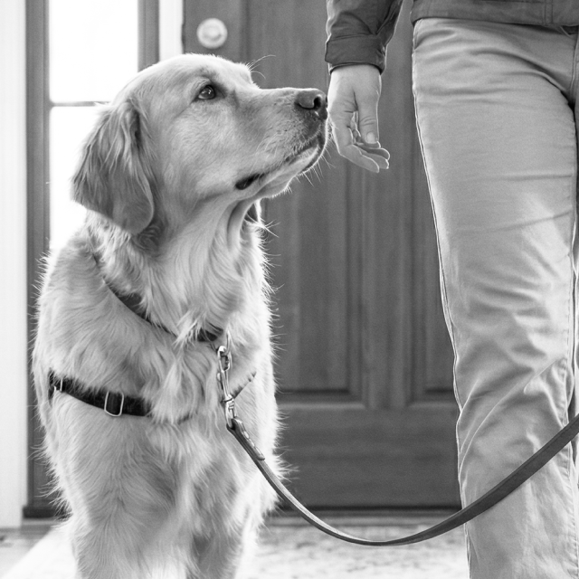 Urban Walker Masterclass